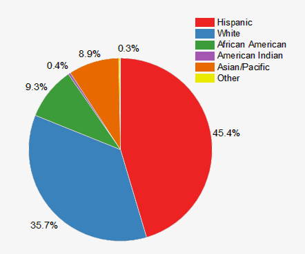 Image of a Piechart